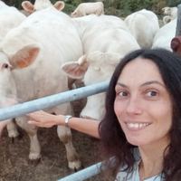 Christiane BORDEAU Entreprise Individuelle