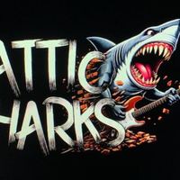 ATTIC SHARKS